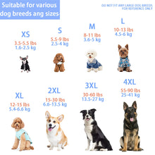 Introducing Our Exclusive Dog Tank Top, featuring a Playful 'Where's the Food' Back Print.